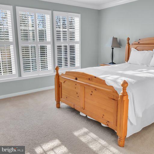 WINDSOR RIDGE - Residential