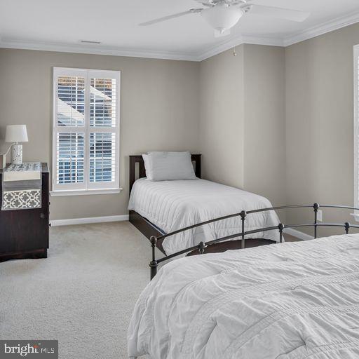 WINDSOR RIDGE - Residential