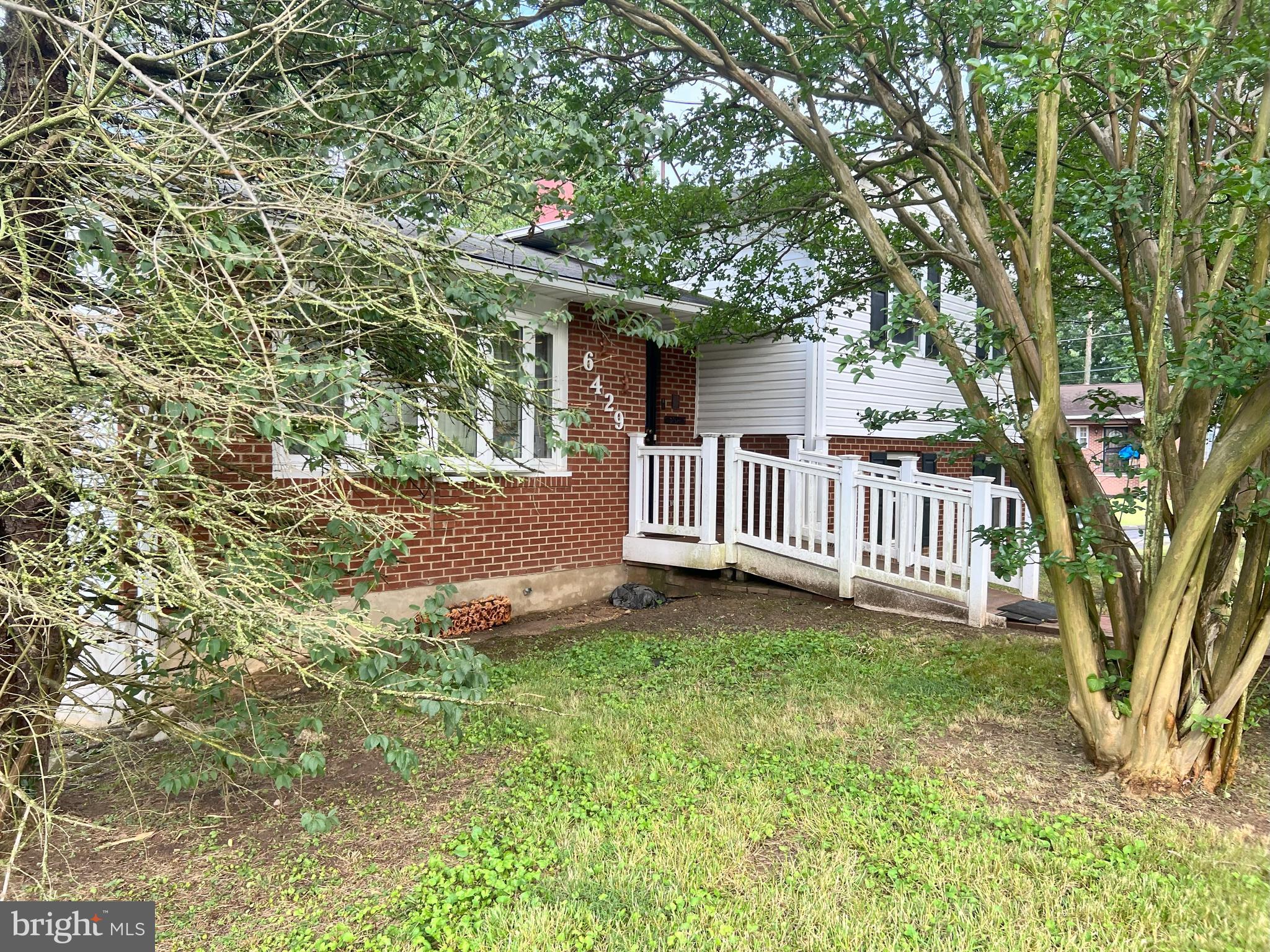 Main image without alt text