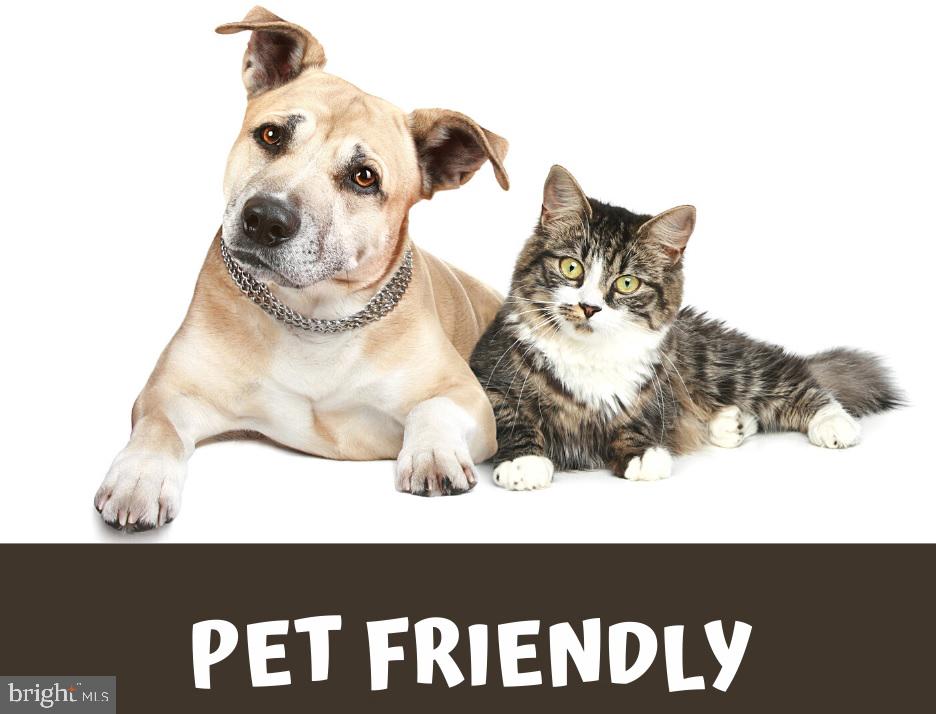 BLAIR - Residential Lease