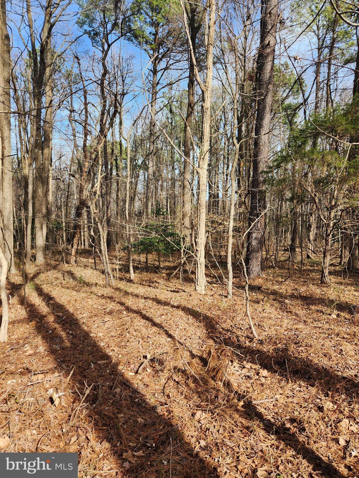 NOMINI CLIFFS - Land