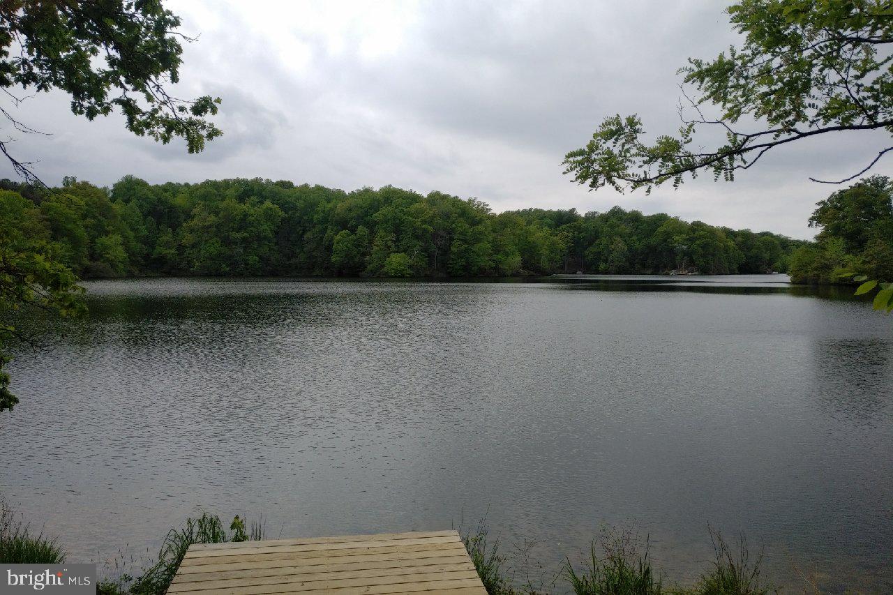 NOMINI CLIFFS - Land