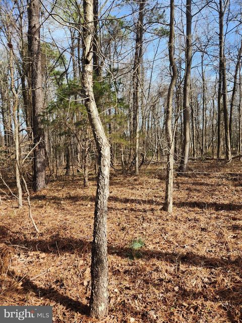 Vacant Land For Sale - LOT 69 Plantation<br/> MONTROSS, VA 22520