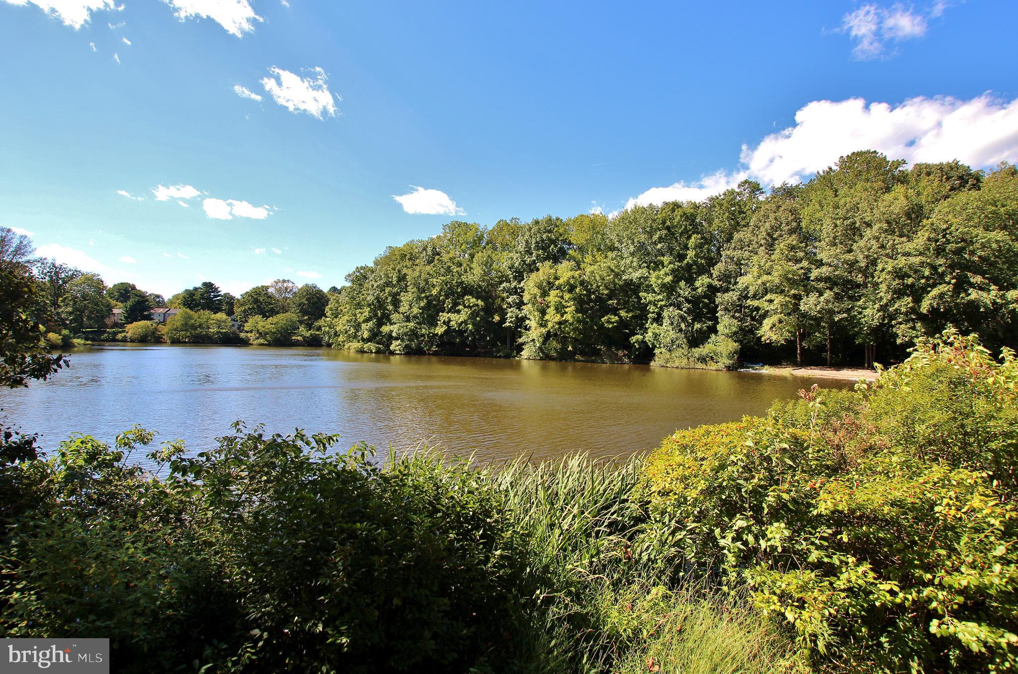 LAKE BRADDOCK - Residential Lease