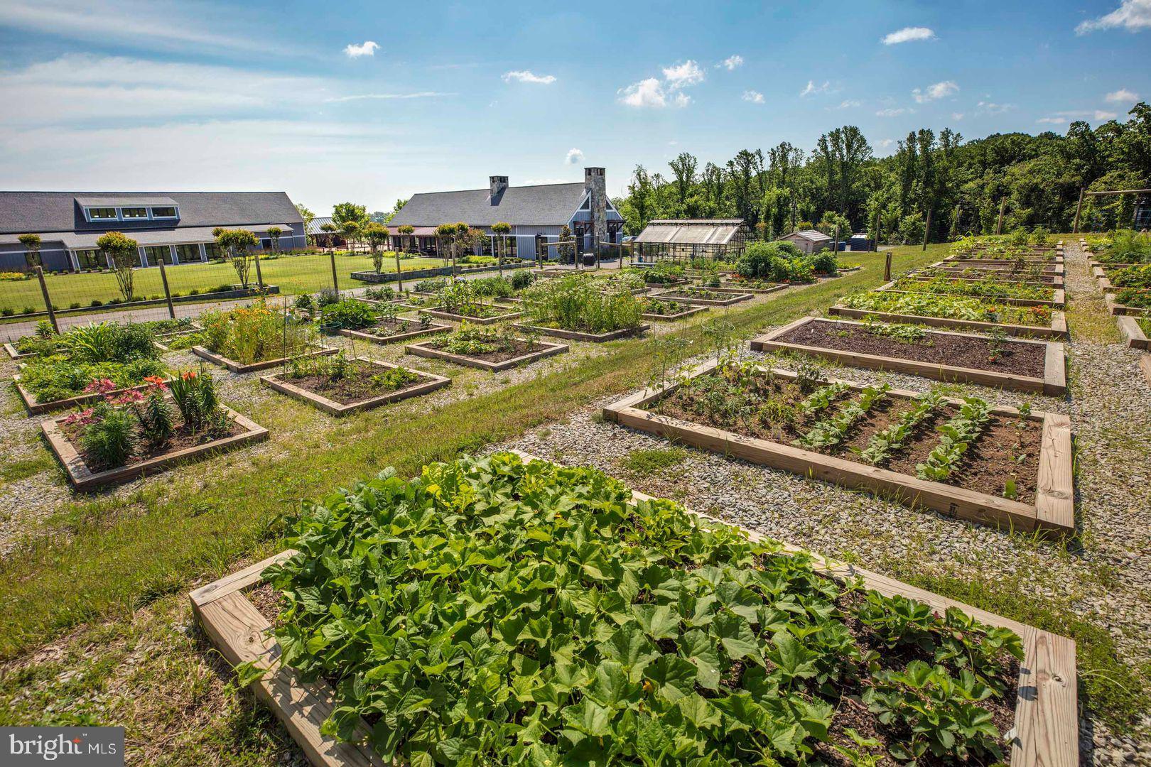 POTOMAC SHORES - Residential