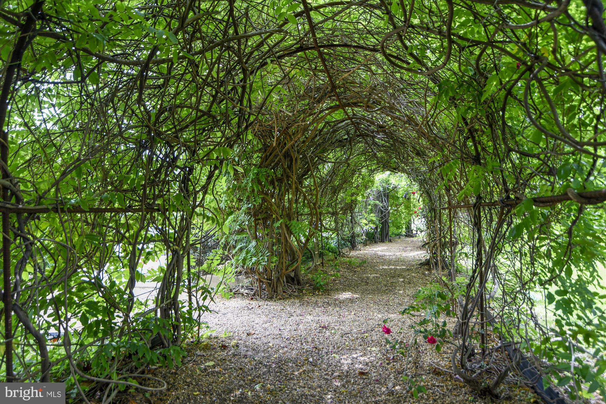 ROTONDA - Residential Lease