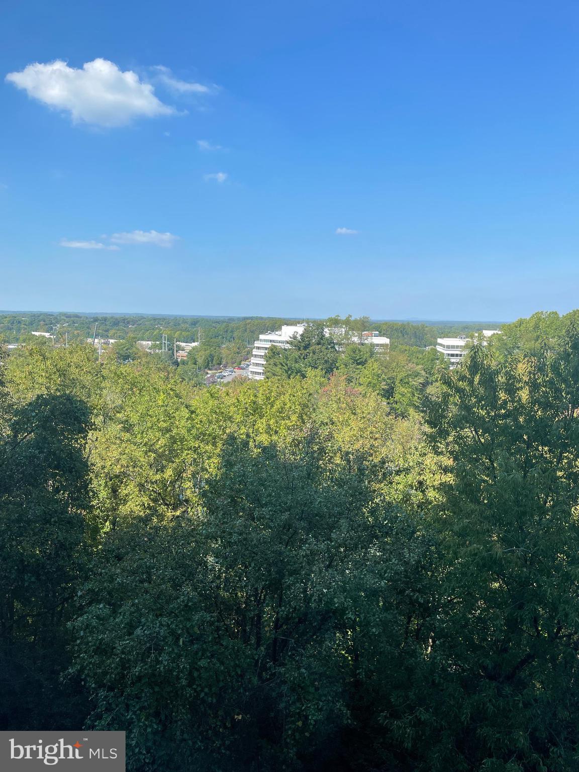 ROTONDA - Residential Lease