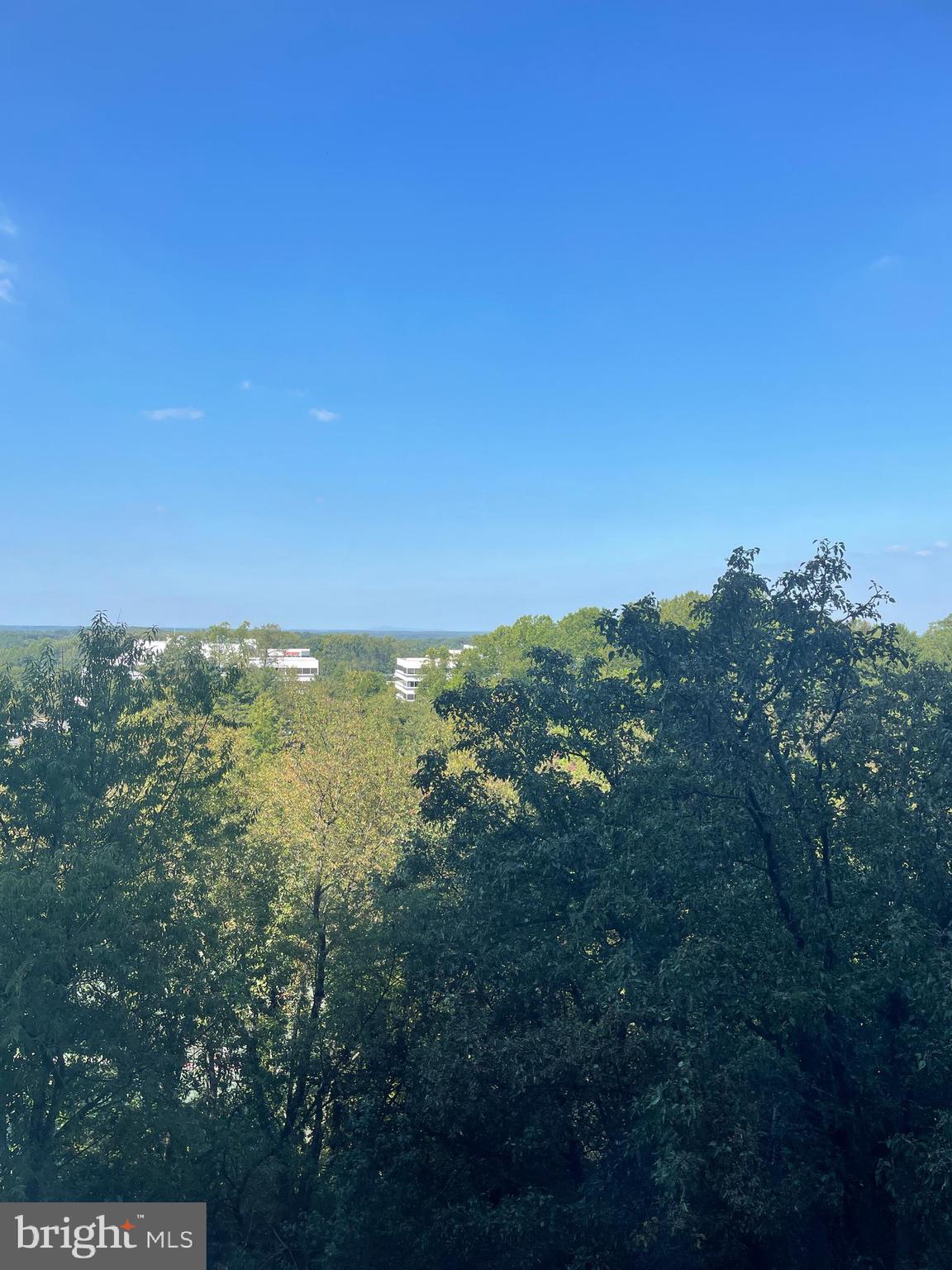 ROTONDA - Residential Lease