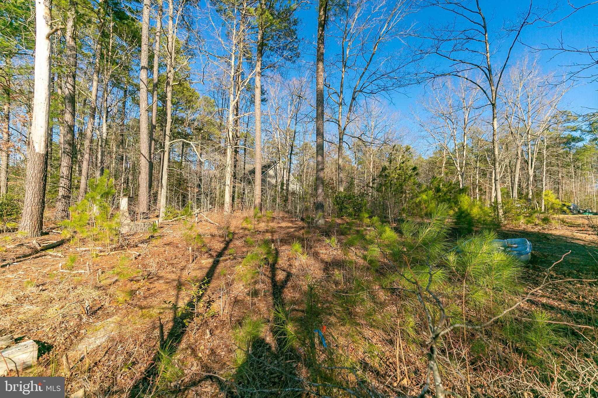 LAKE CAROLINE - Land