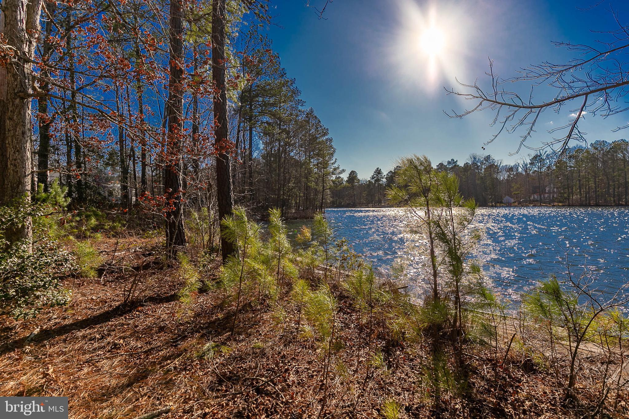 LAKE CAROLINE - Land