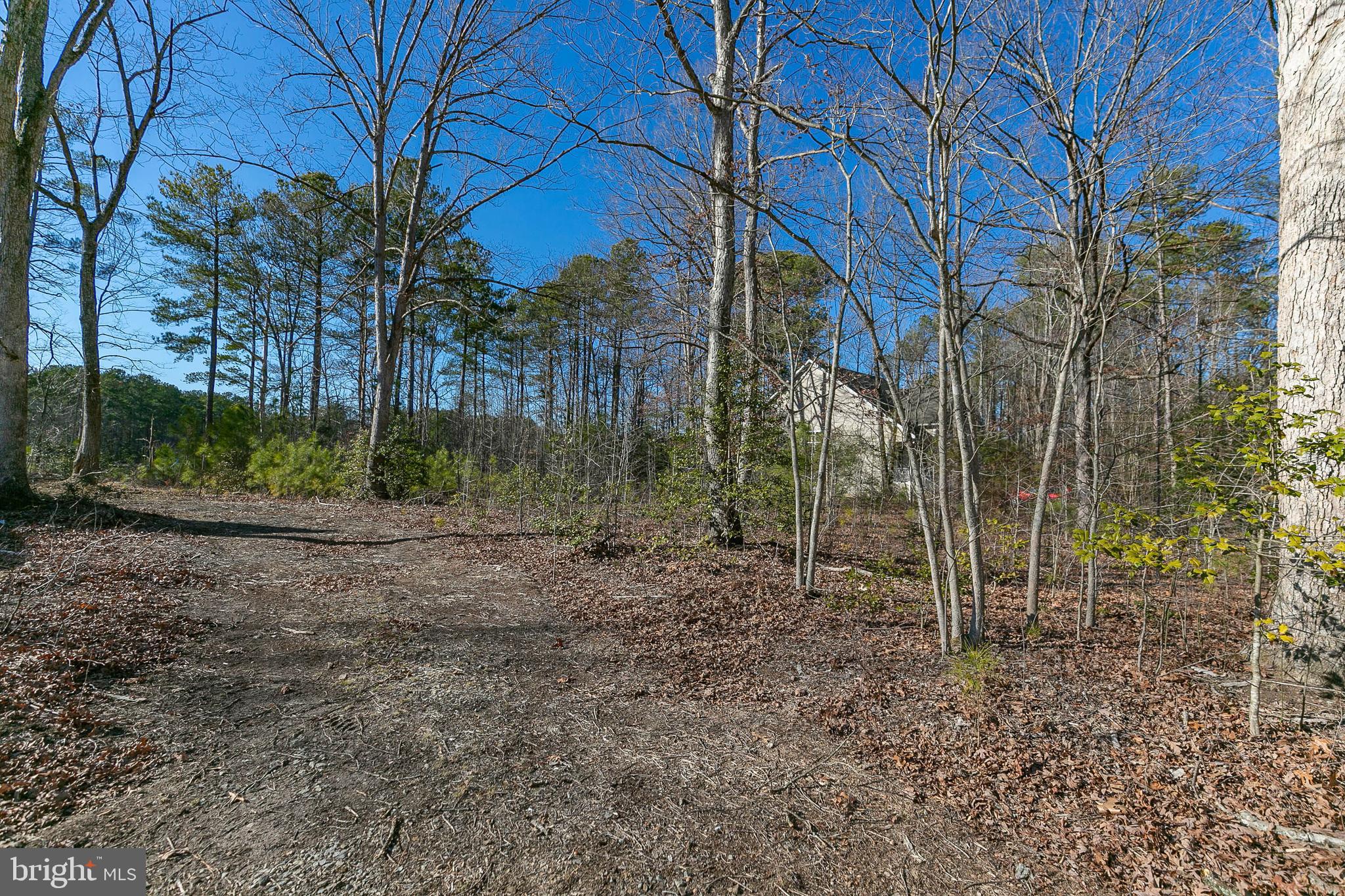 LAKE CAROLINE - Land