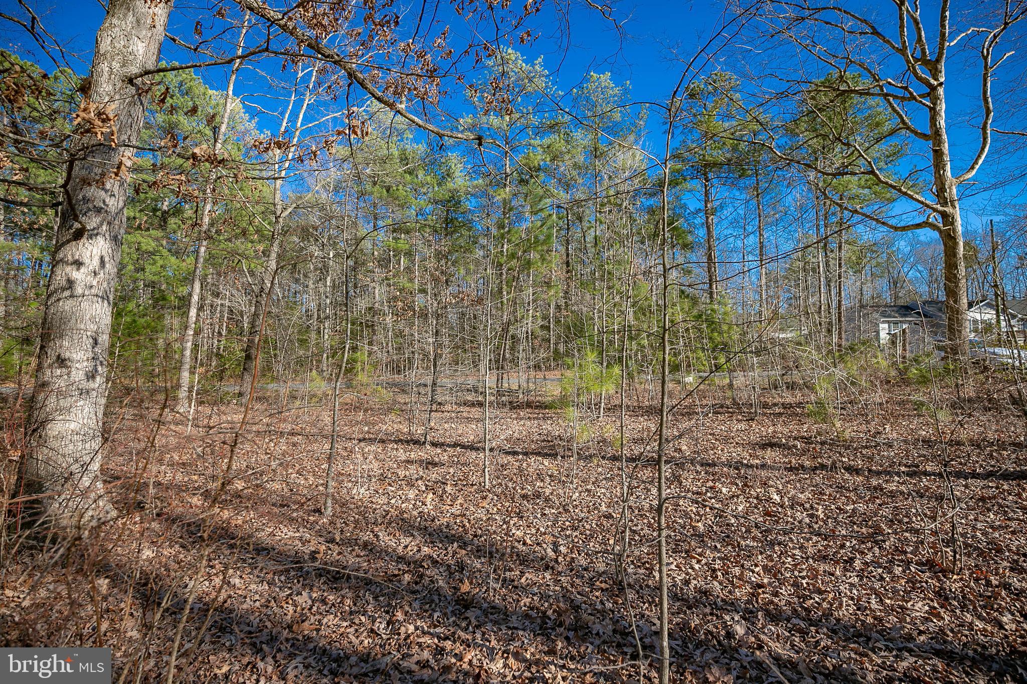 LAKE CAROLINE - Land