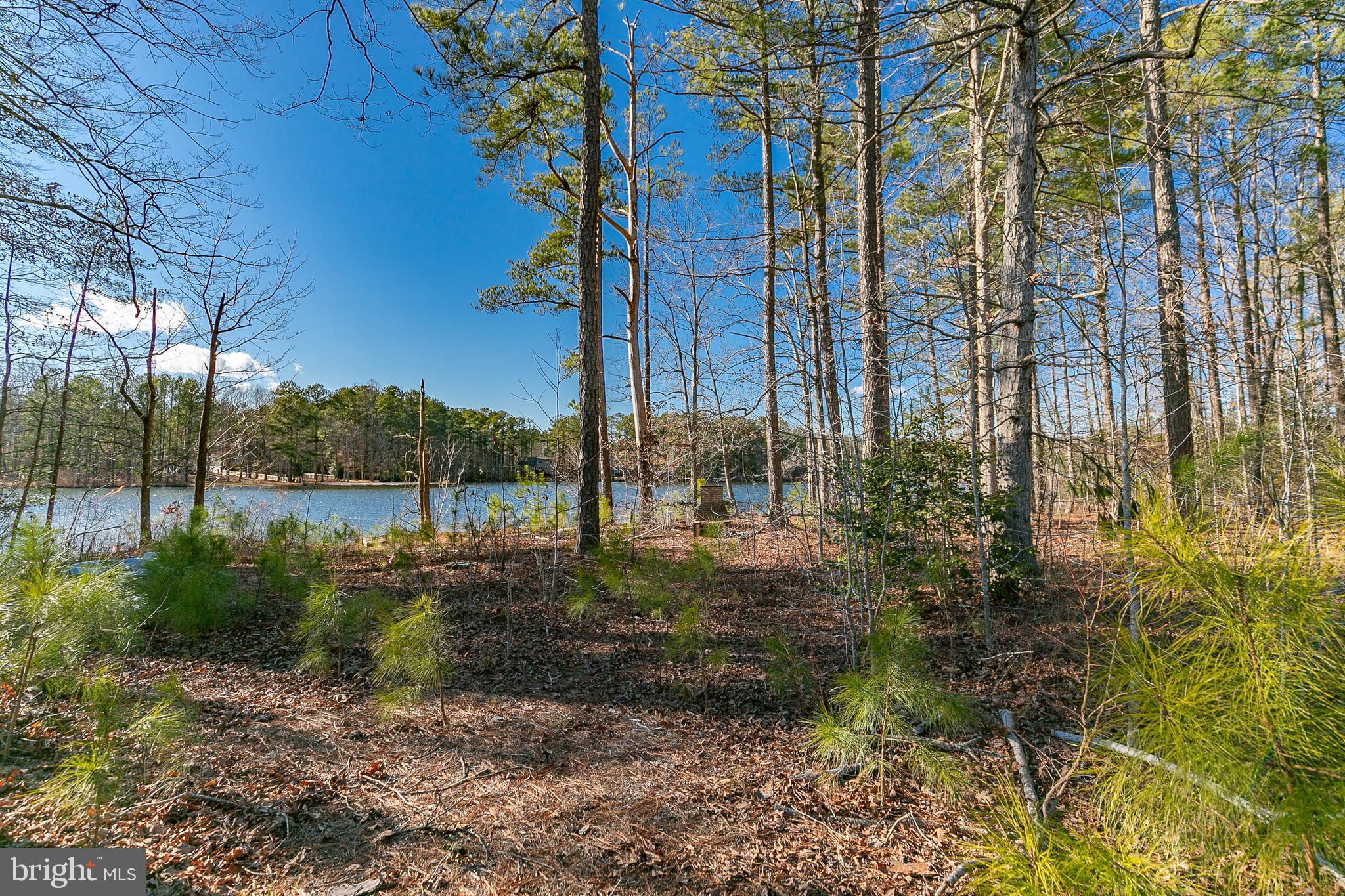 LAKE CAROLINE - Land