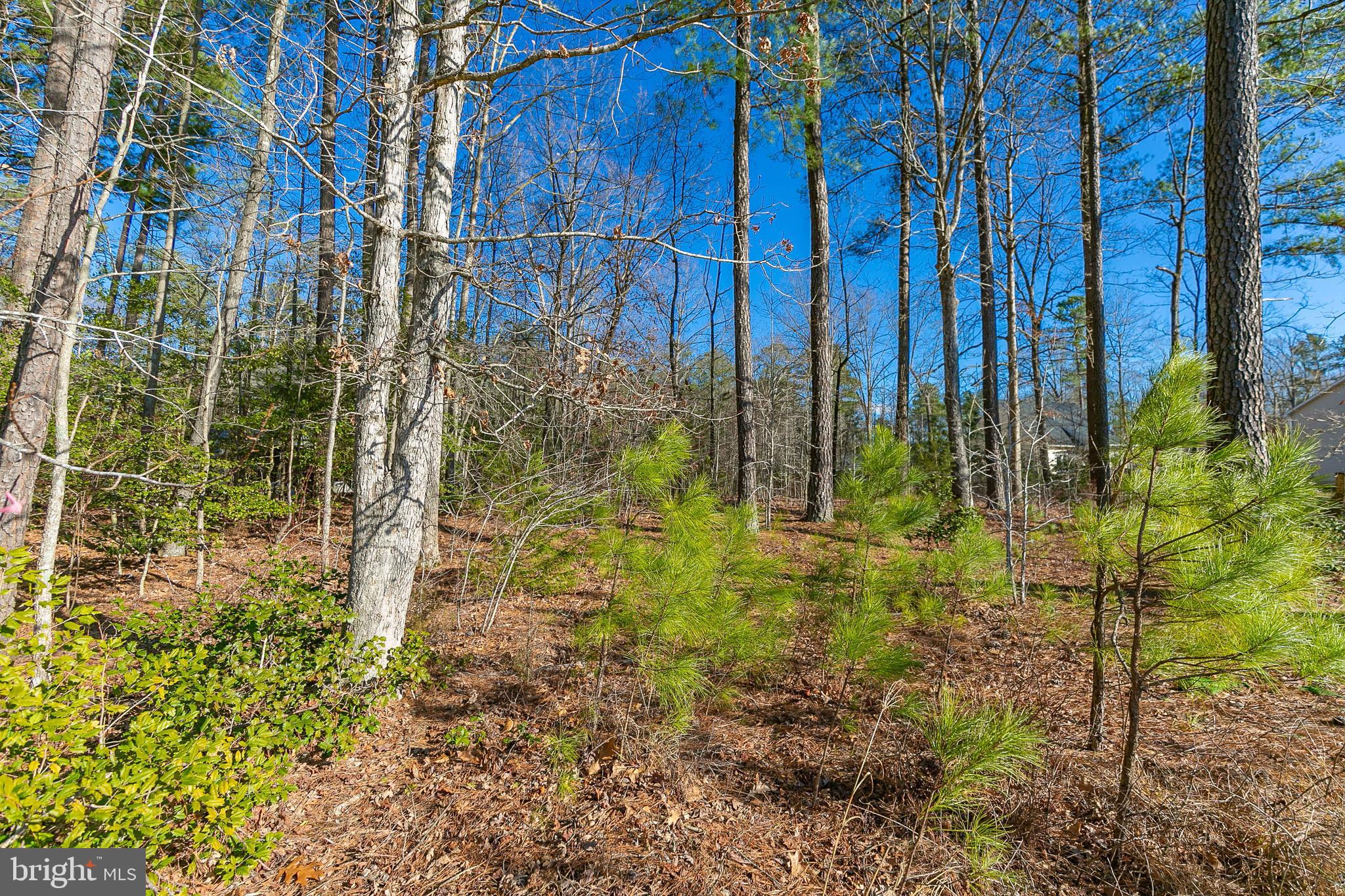 LAKE CAROLINE - Land