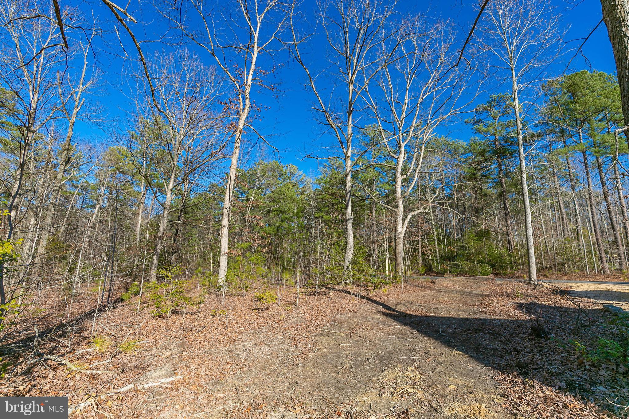 LAKE CAROLINE - Land