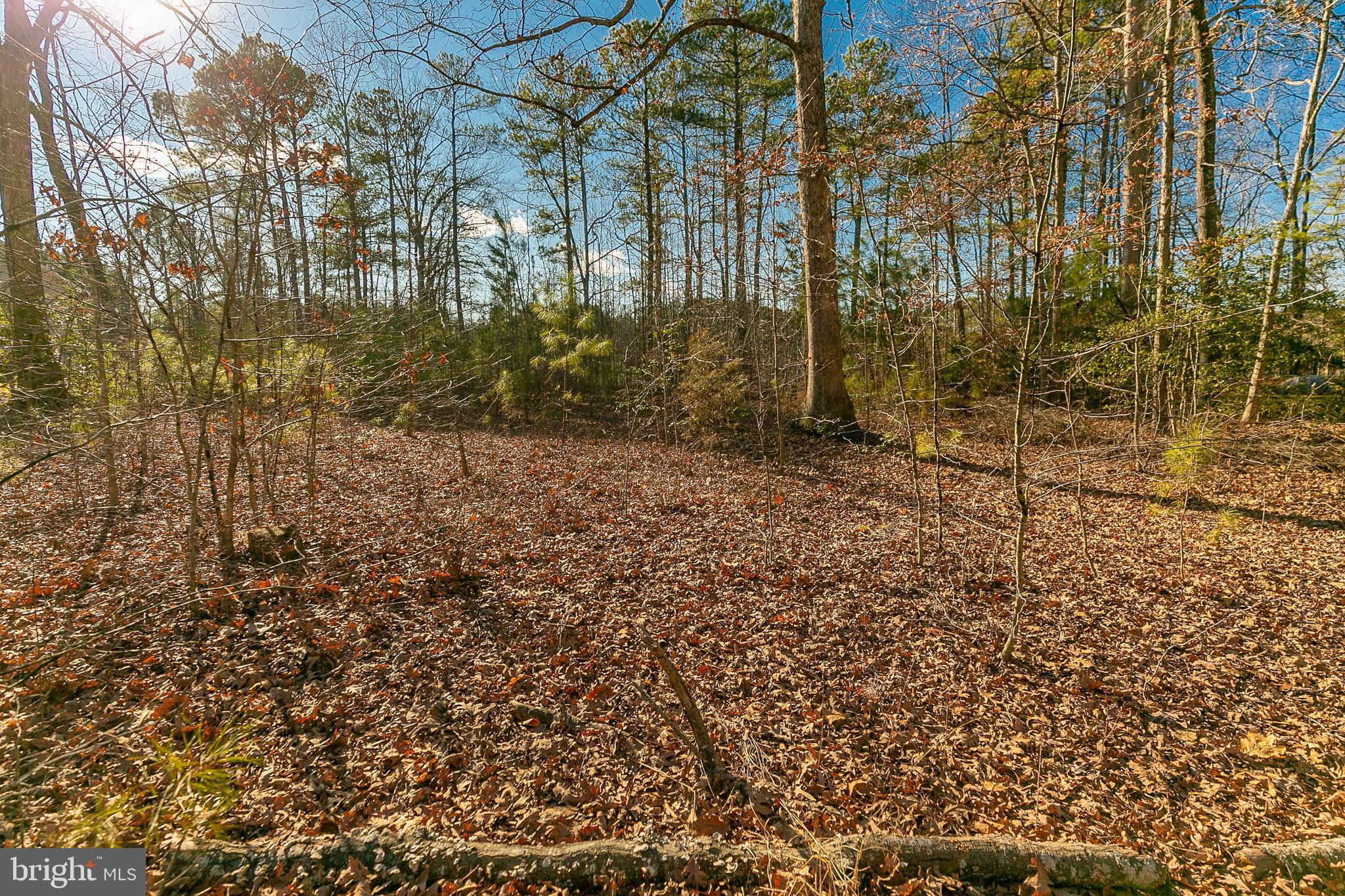 LAKE CAROLINE - Land