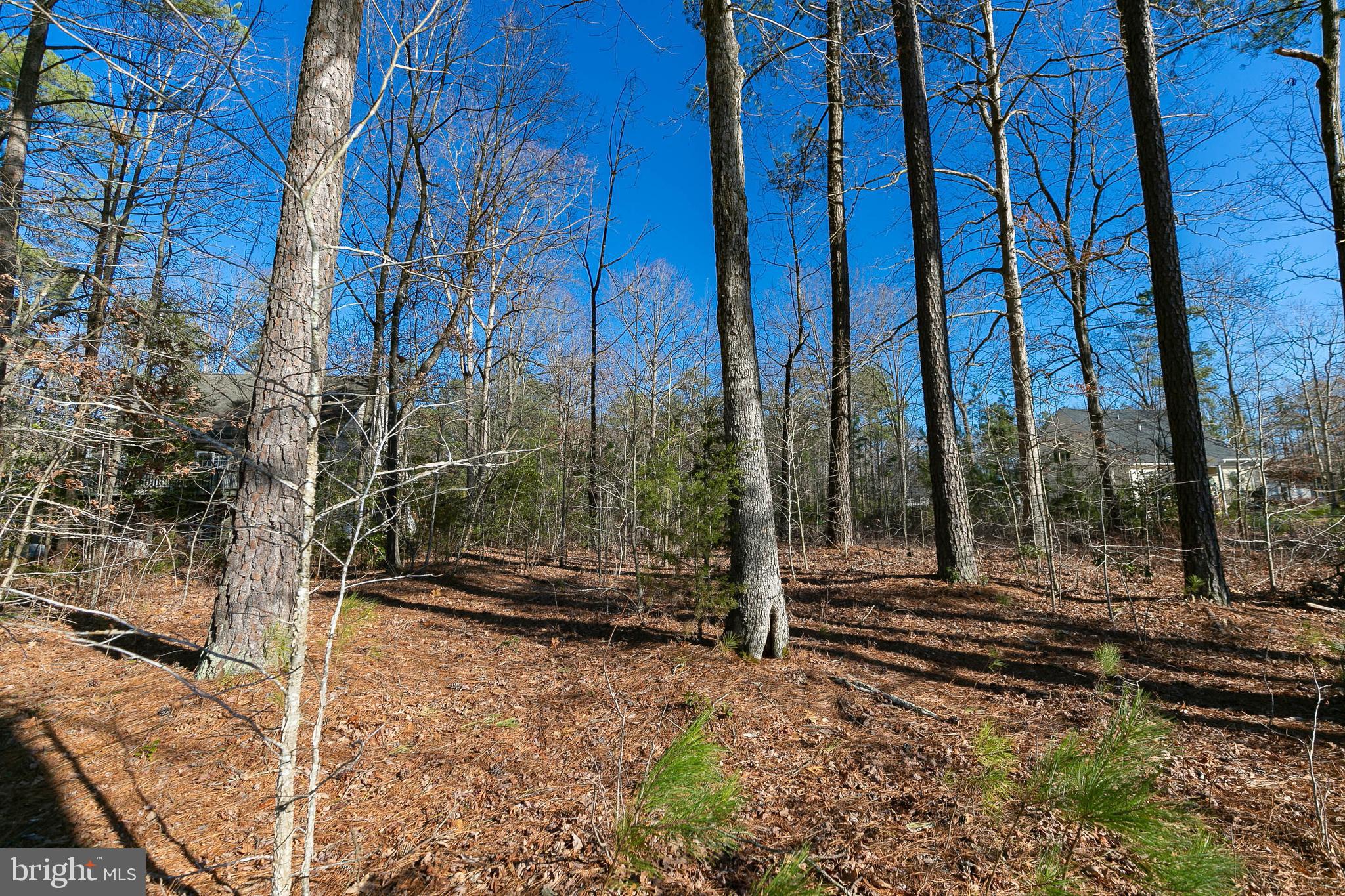 LAKE CAROLINE - Land