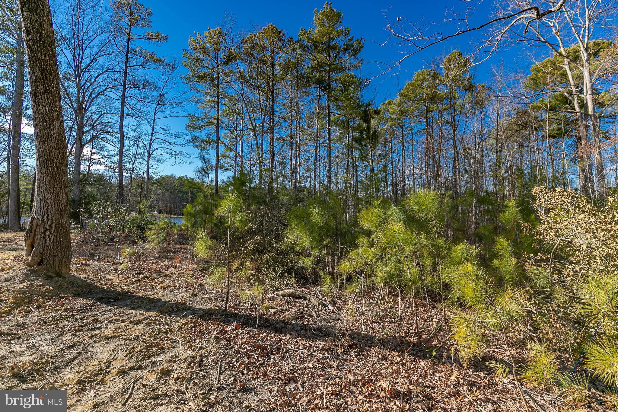 LAKE CAROLINE - Land