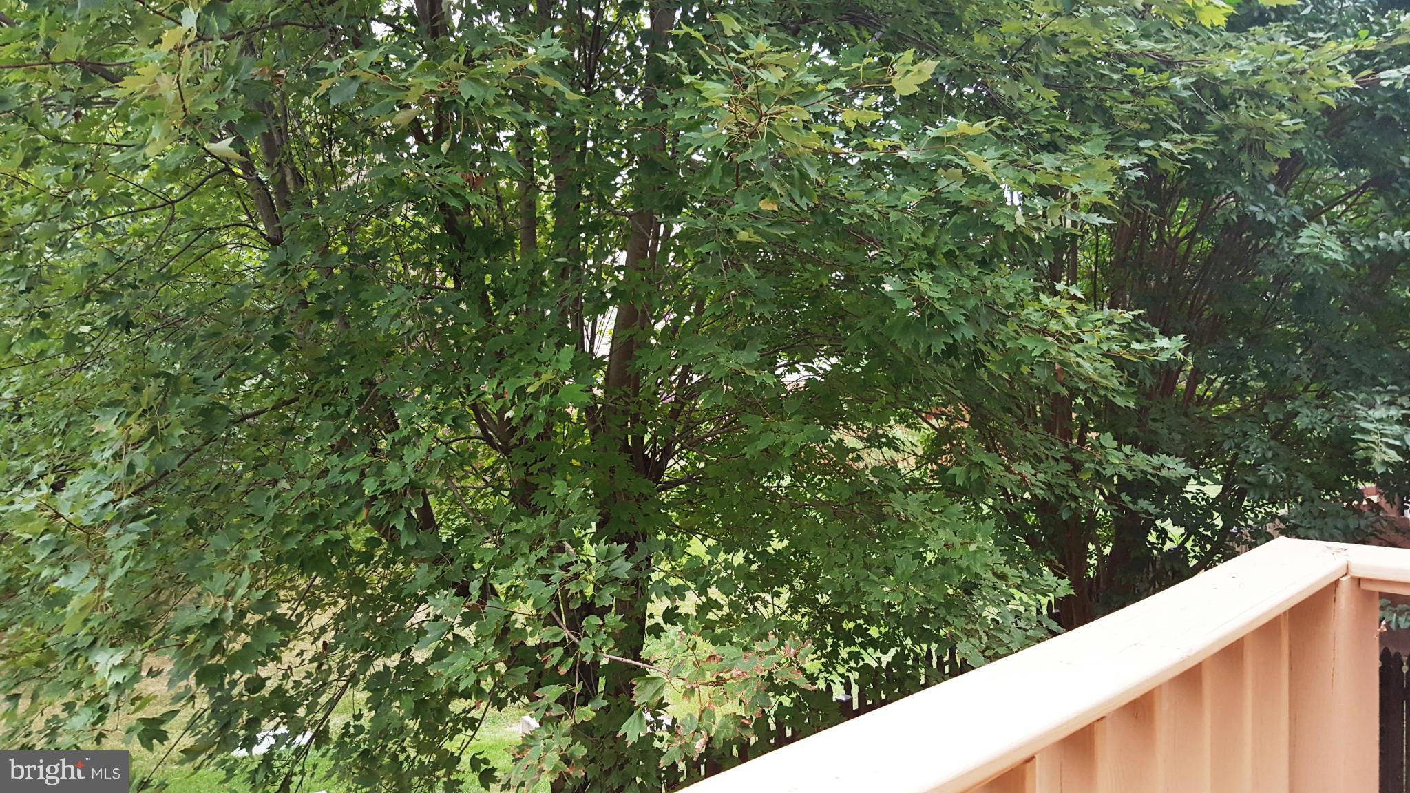 WESTRIDGE - Residential Lease