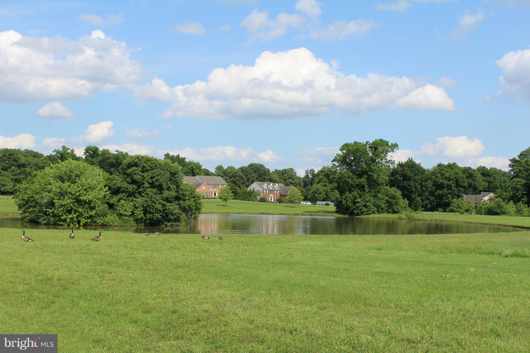 ESTATE AT SKIPTON CRK - Residential Lease