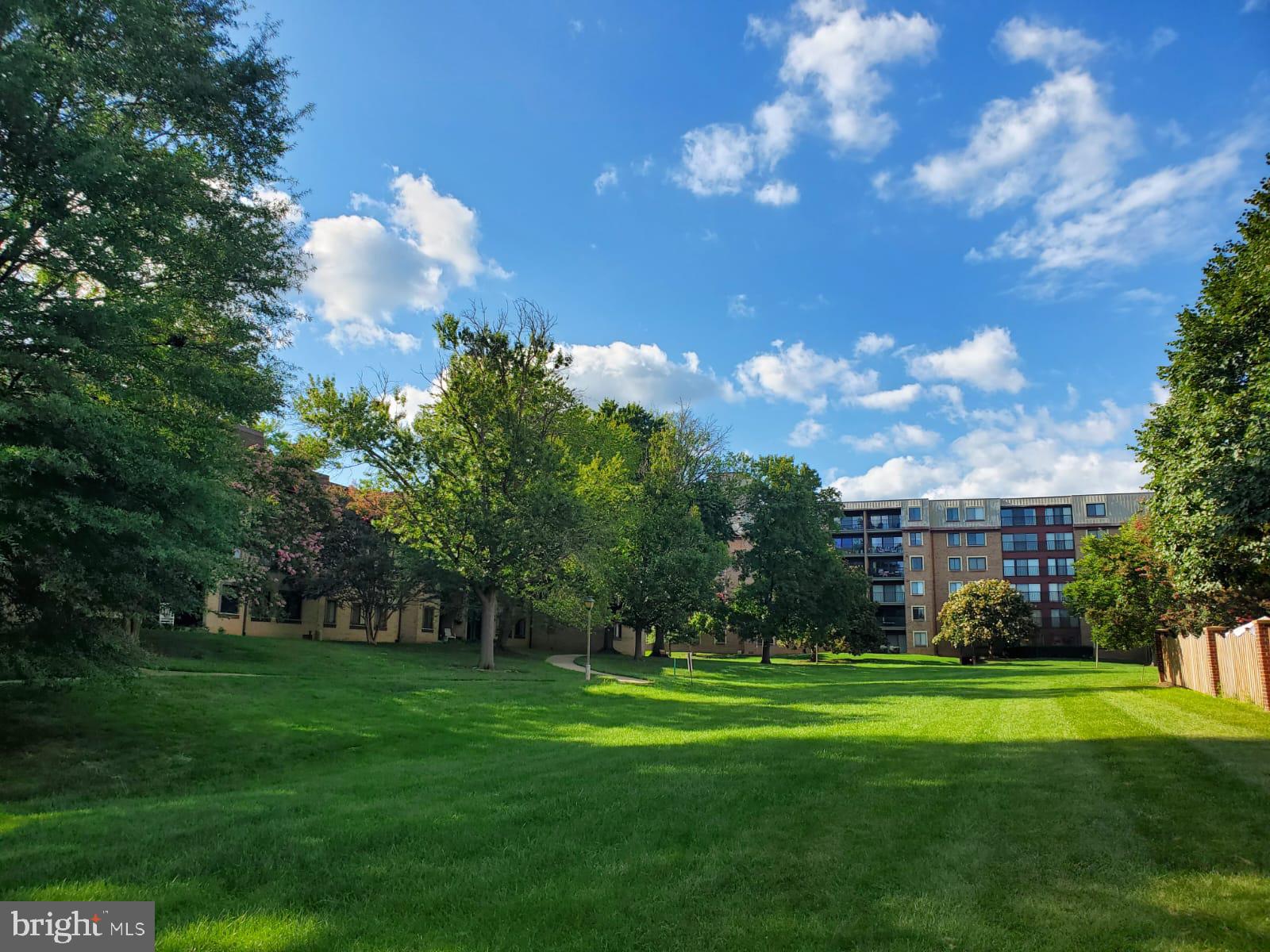 TREEBROOKE CONDOMINIUM - Residential Lease