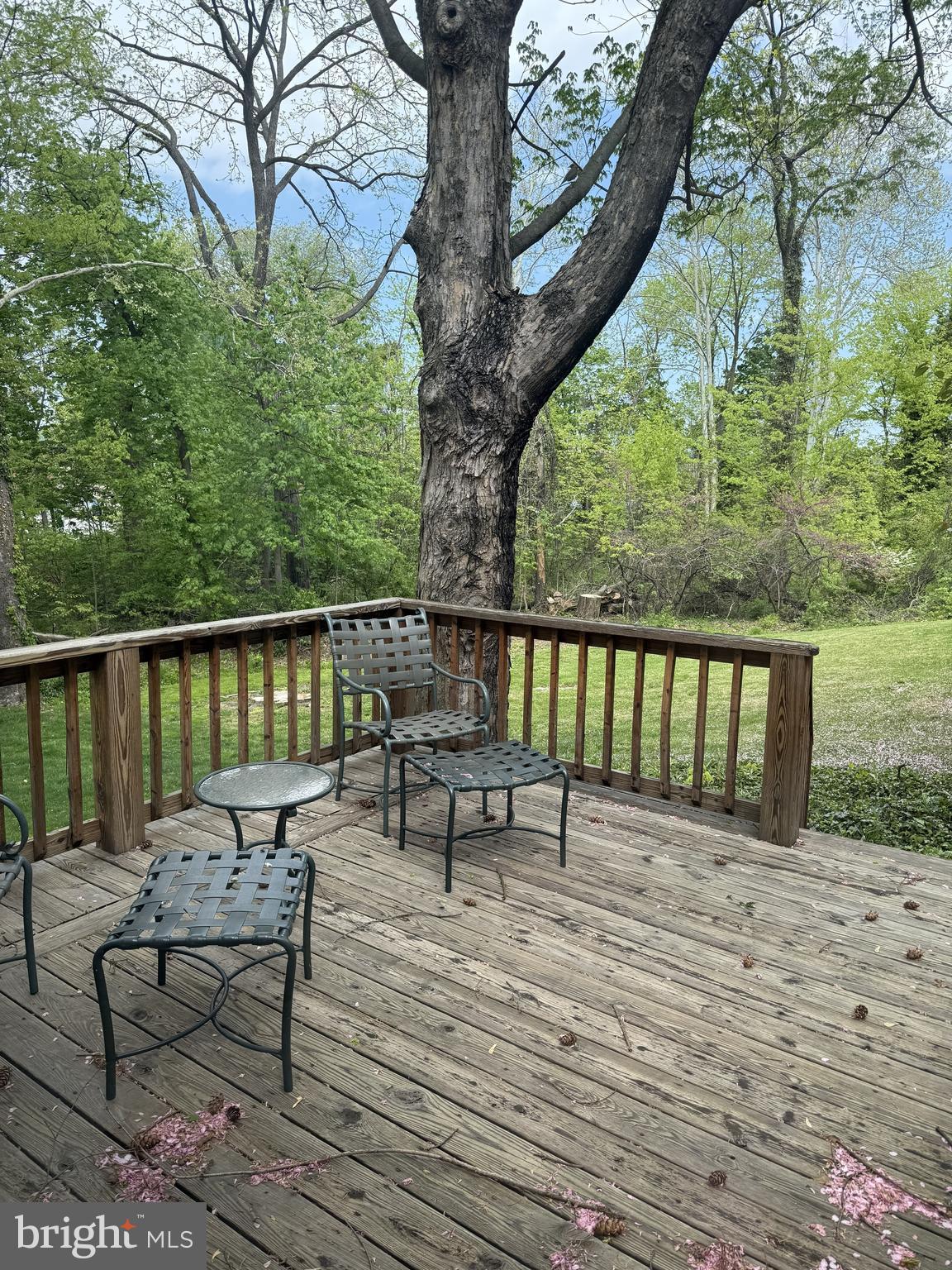 SPRINGETTSBURY - Residential