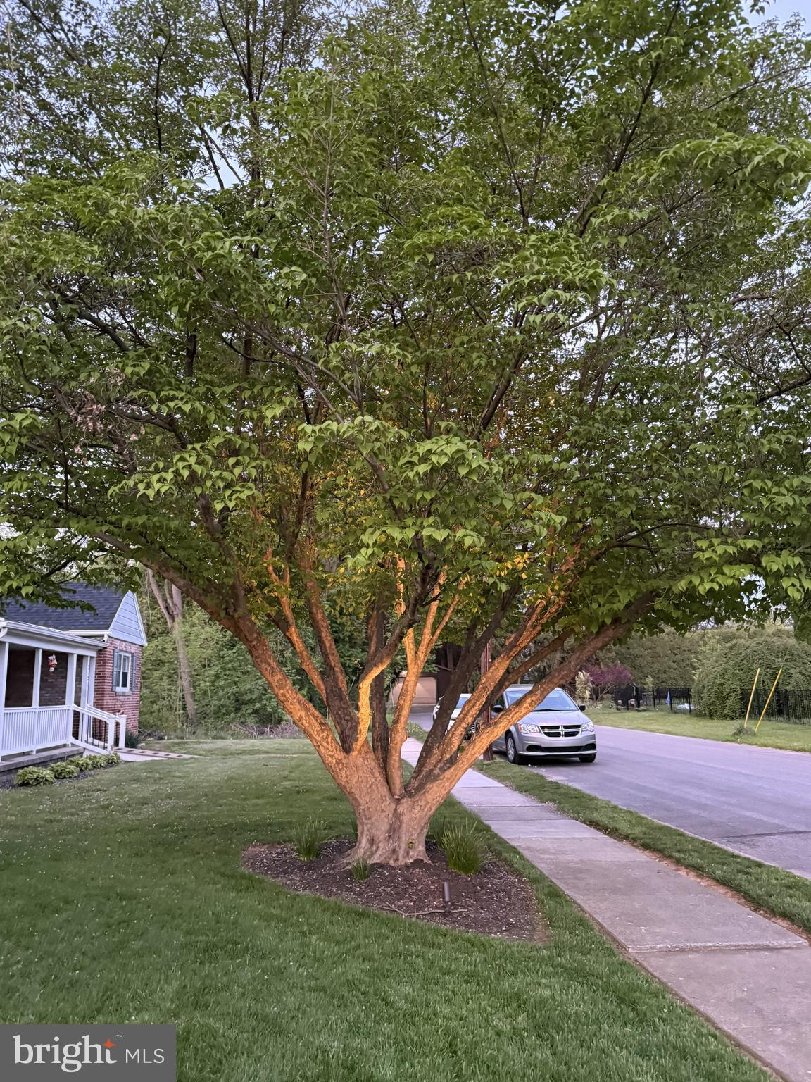 SPRINGETTSBURY - Residential