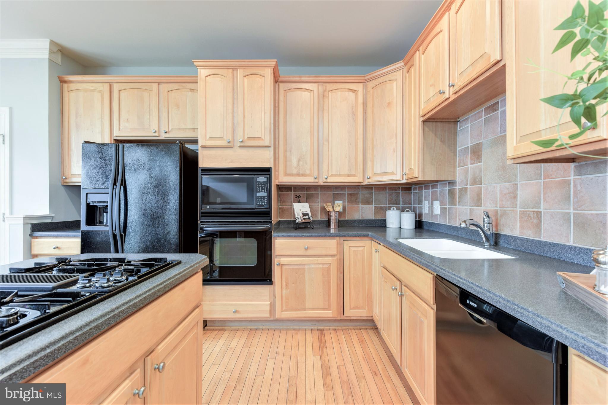 OLD TOWN GREENS - Residential