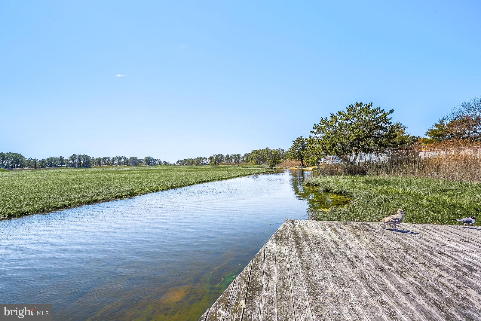 CHINCOTEAGUE - Residential