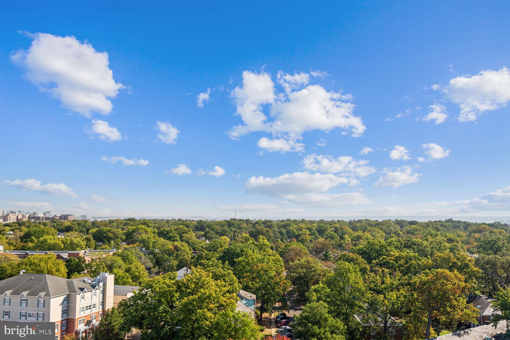 HYDE PARK - Residential Lease