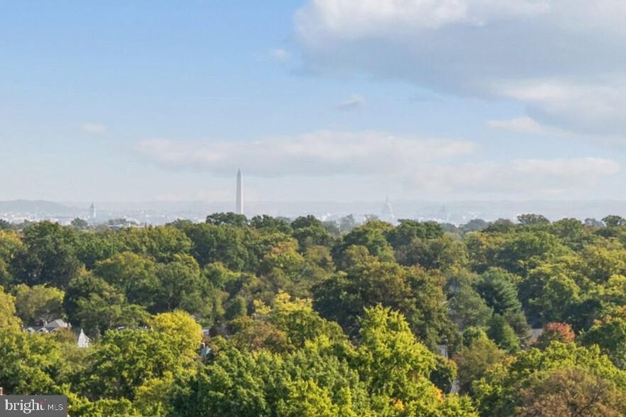 WASHINGTON MONUMENT VIEW! // ALL UTILITIES INCLUDED (electricity, water, gas, heating/cooling) // 1/2 MILE TO METRO! // Premium appliances in kitchen // This huge 2BR/2BA unit has 1,457 square feet of space, with great storage! // Spacious balcony gets great light and has plenty of space for dining, entertaining, and relaxing, with a great view of Ballston and the Washington Monument! // UP TO THREE GARAGE SPACES possible per unit [$600/yr for 1 car, $1,320/yr for 2 cars] // Many restaurants, shops, and night spots nearby // Harris Teeter next door, new Target nearby, and Ballston Quarter just across the street - very convenient! // Packages kept securely behind front desk. // Front desk is staffed from 7am-midnight, with a security guard in the building after that.  // Amenities include a pool, a large private park with a gazebo and gas and charcoal grills, and a community garden. // NO DOGS ALLOWED (building rule), cats on case-by-case basis. // CLEAN AIR BUILDING - No smoking or vaping allowed on building grounds. // Tenant pays for internet/cable service of choice. Verizon and Comcast available. // Move-in fee of $250 paid to building. // Be sure to see 3D Virtual Tour attached to listing!