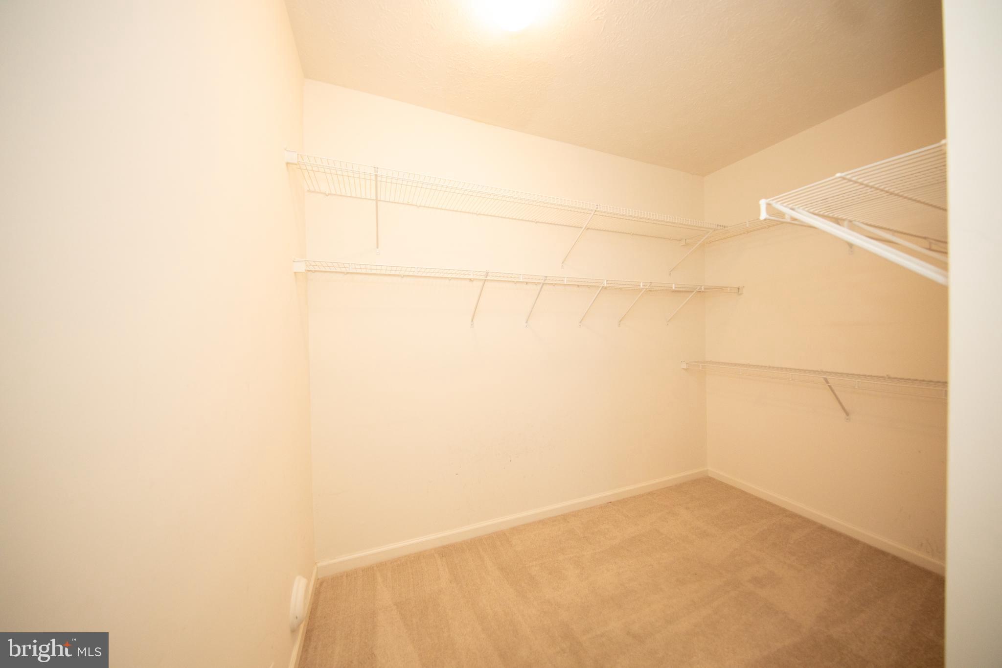 WINDSOR AT PERRY HALL FARMS - Residential