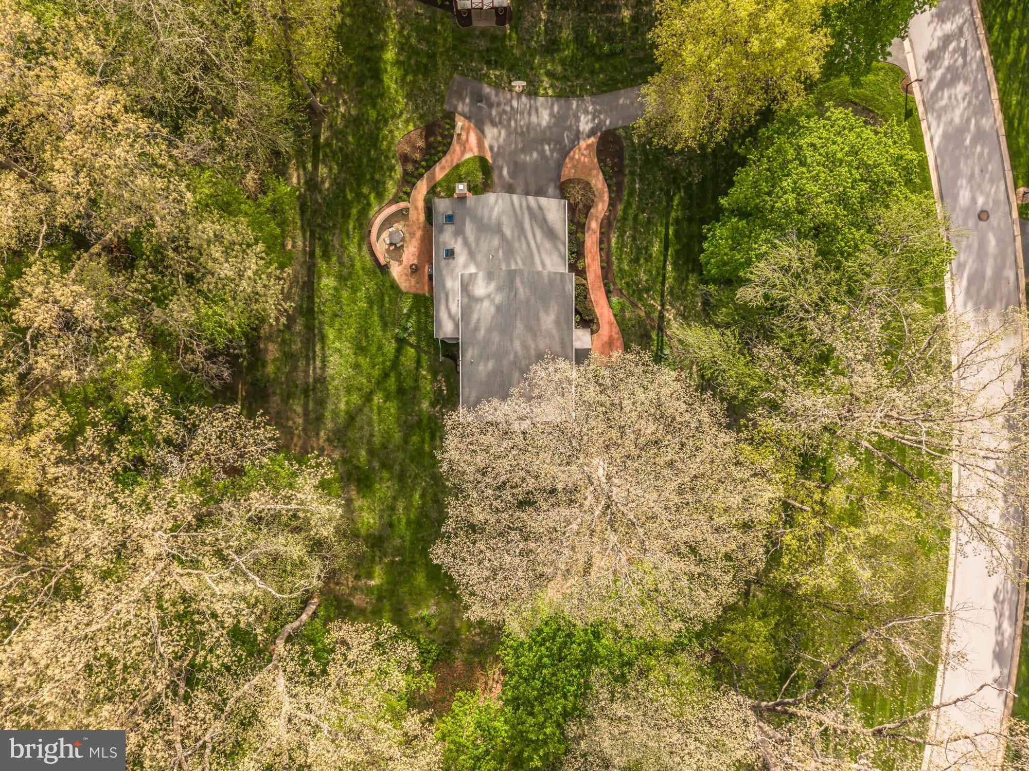 MILL VALLEY - Residential