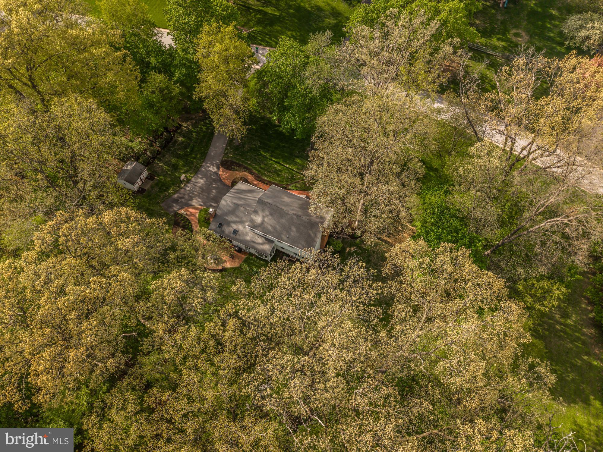 MILL VALLEY - Residential