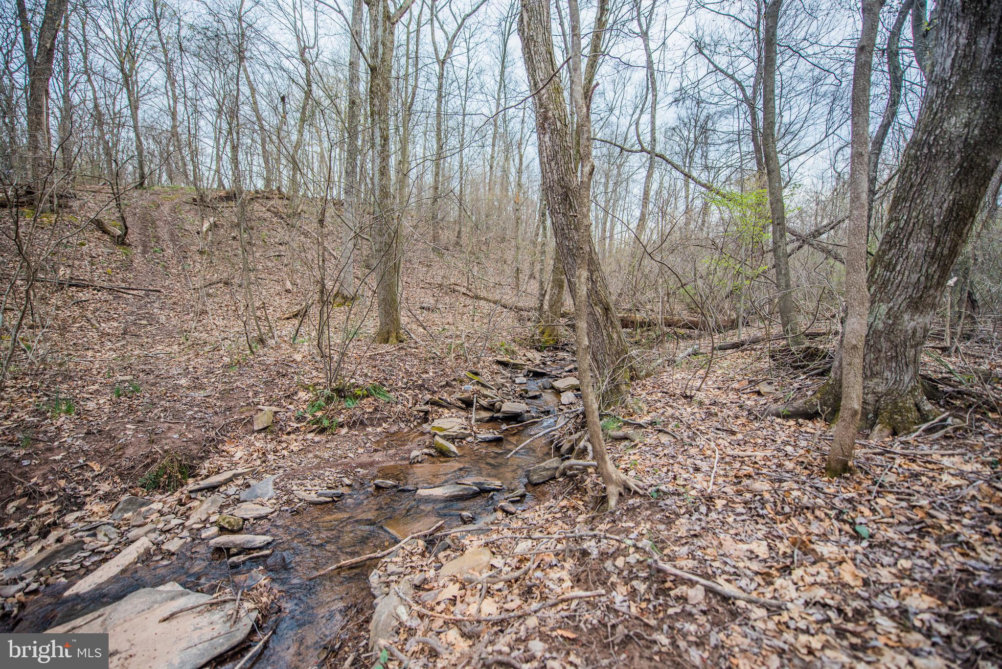 BRANDON HILLS - Residential