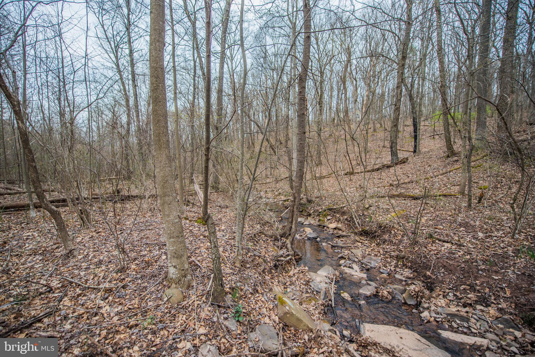 BRANDON HILLS - Residential