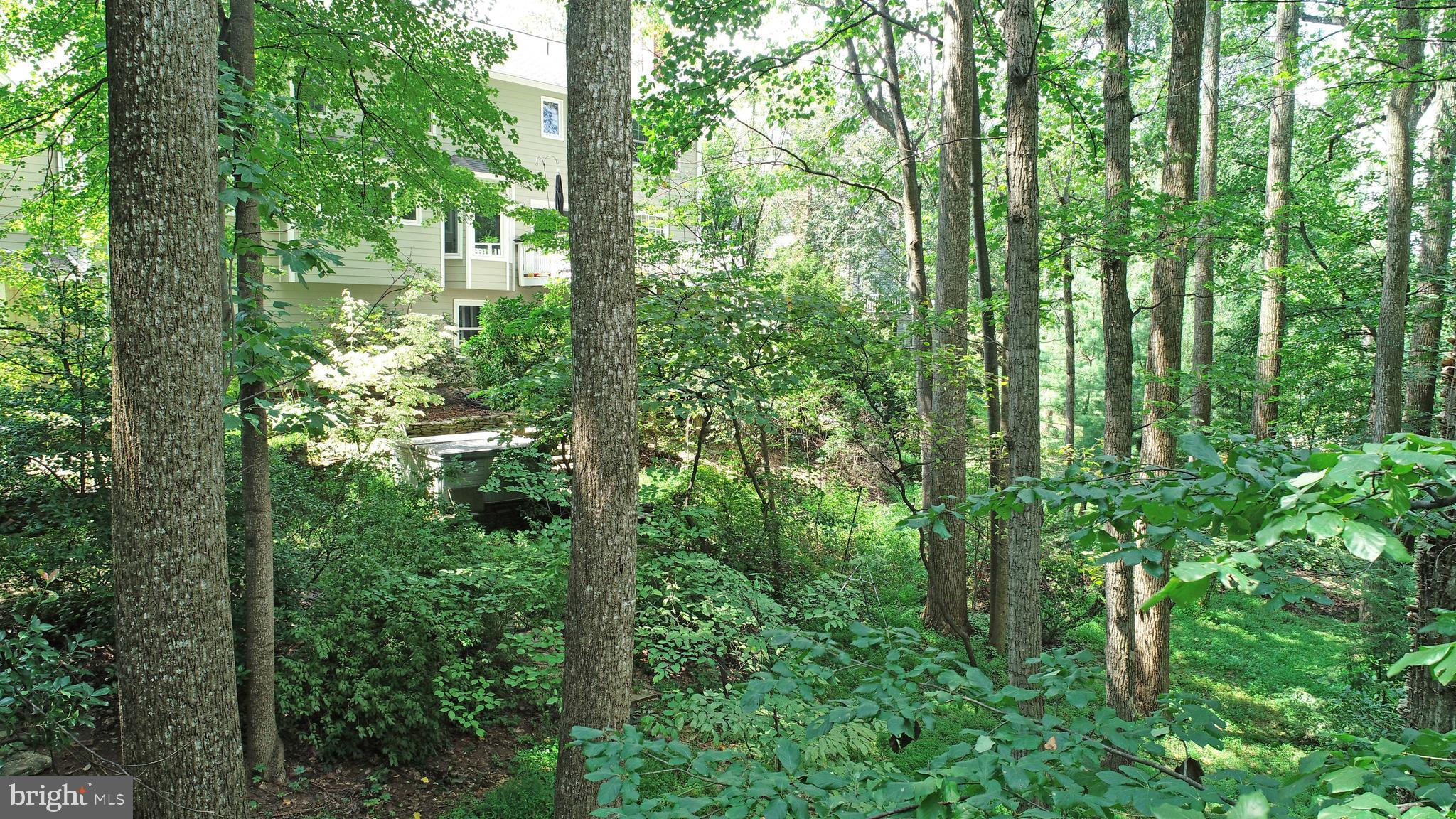 DEER FOREST - Residential