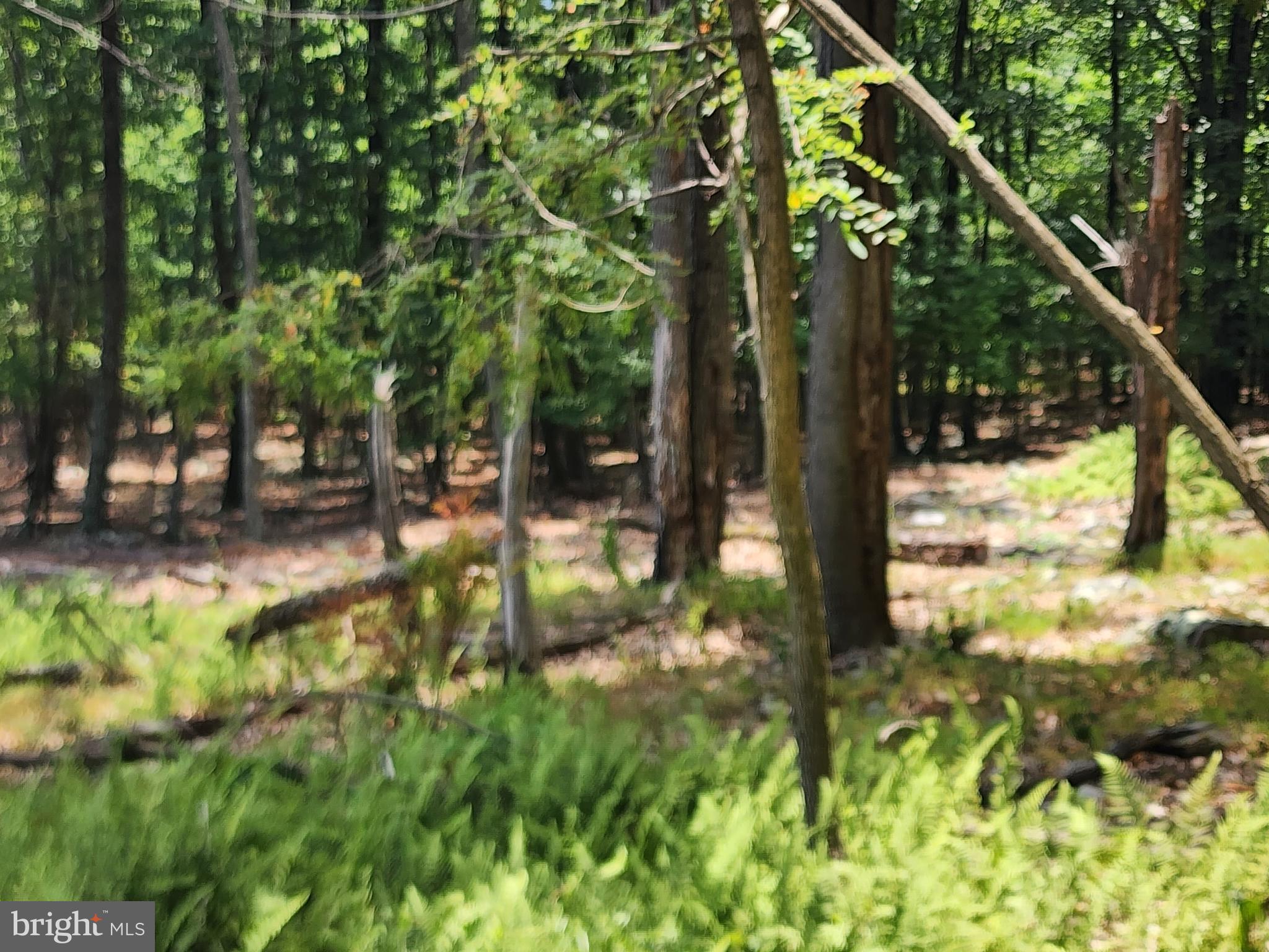 WARDEN LAKE SUBDIVISION - Land