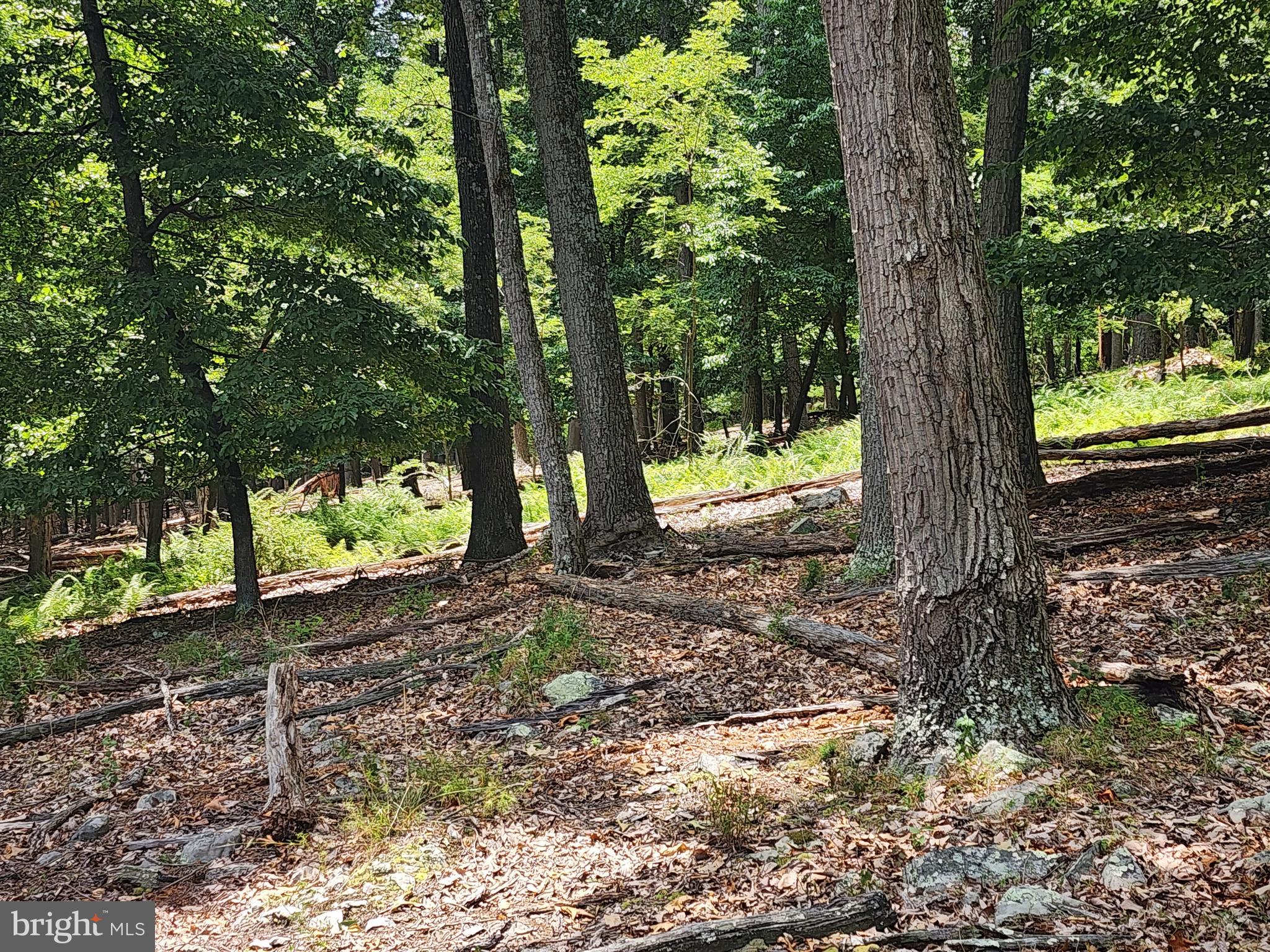 WARDEN LAKE SUBDIVISION - Land