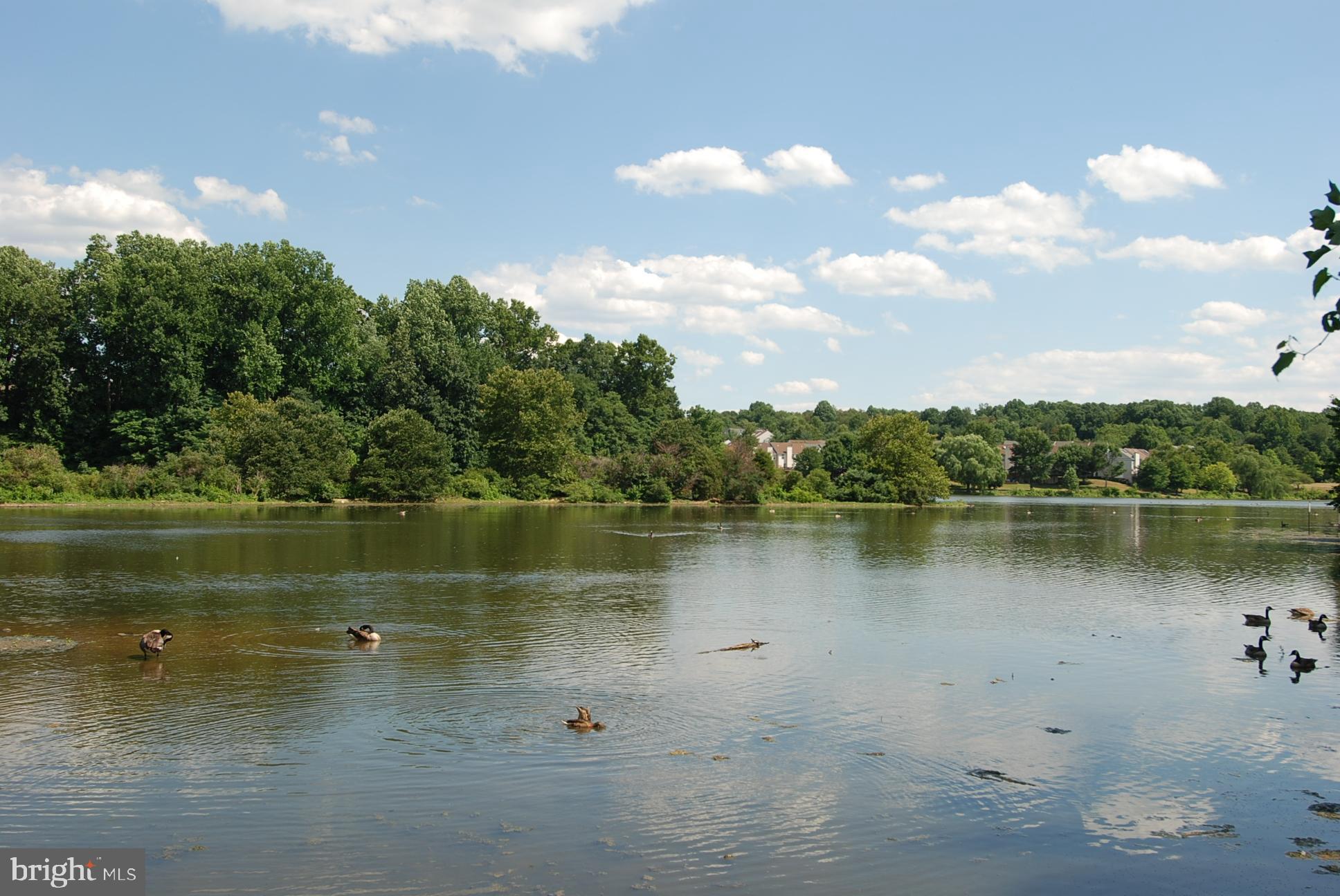 GERMANTOWN VIEW - Residential
