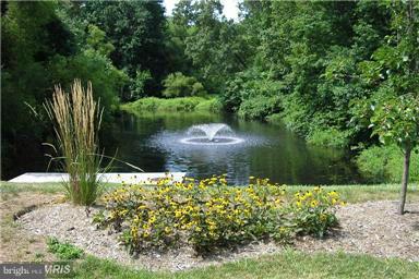 COOL POND - Residential