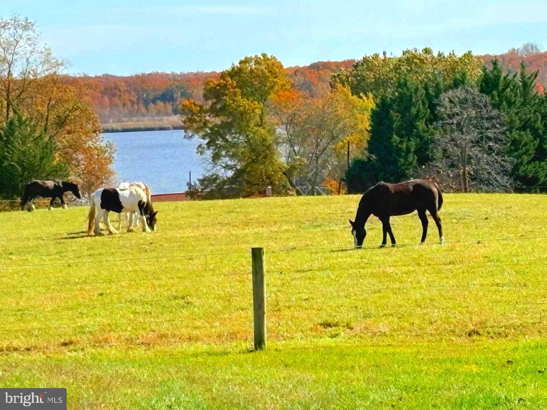 COLERIDGE - Residential