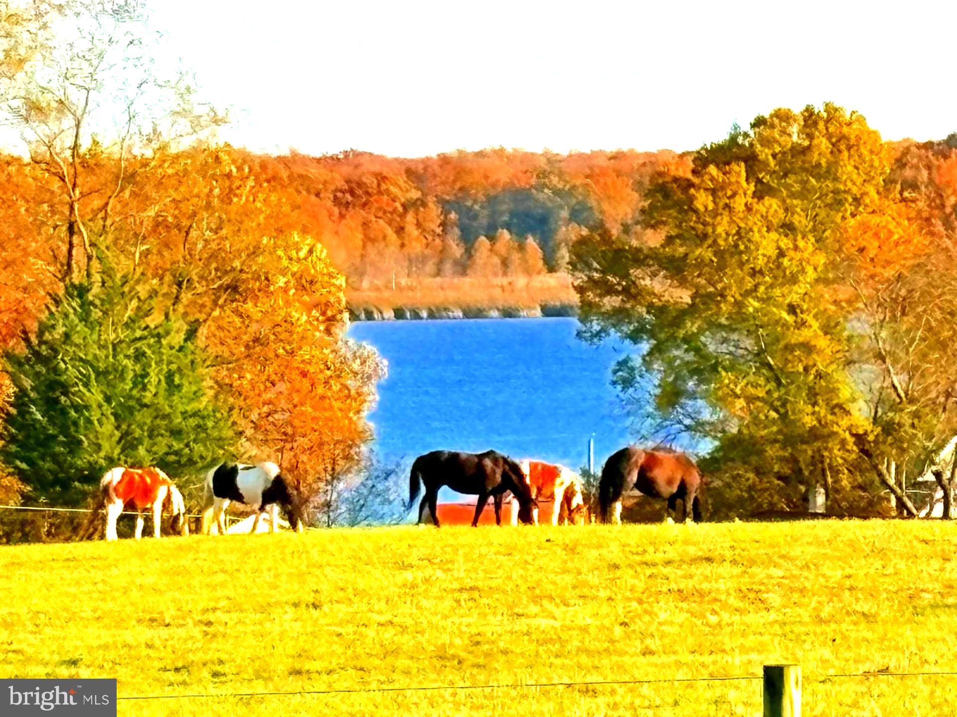 COLERIDGE - Residential