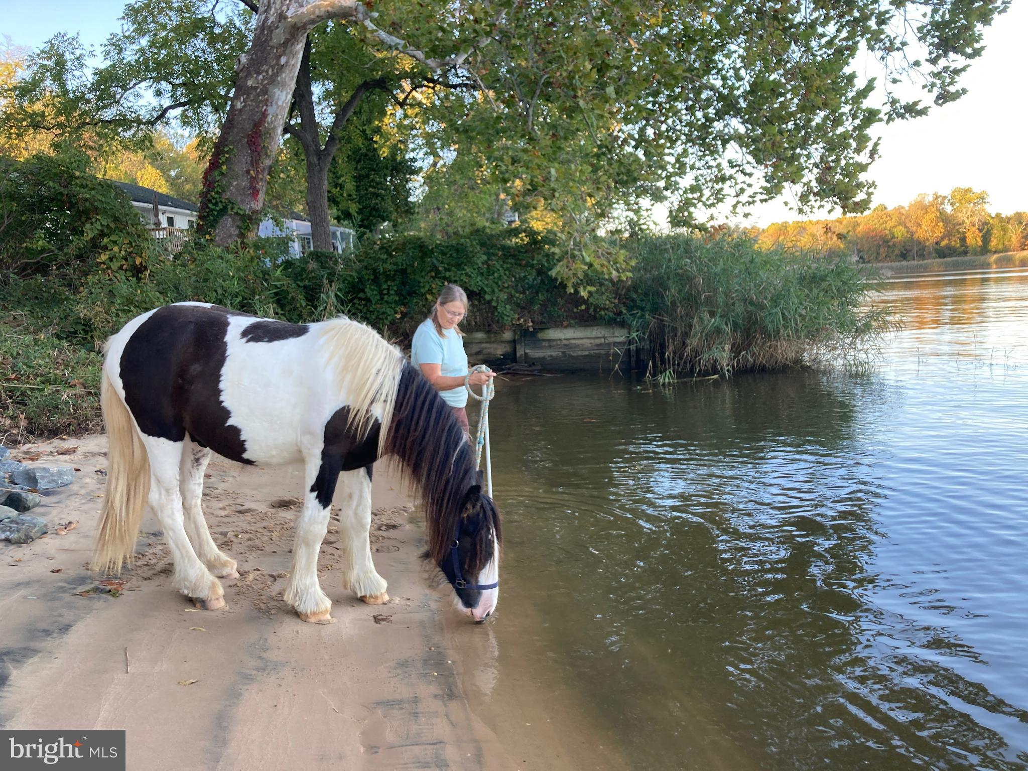 COLERIDGE - Residential