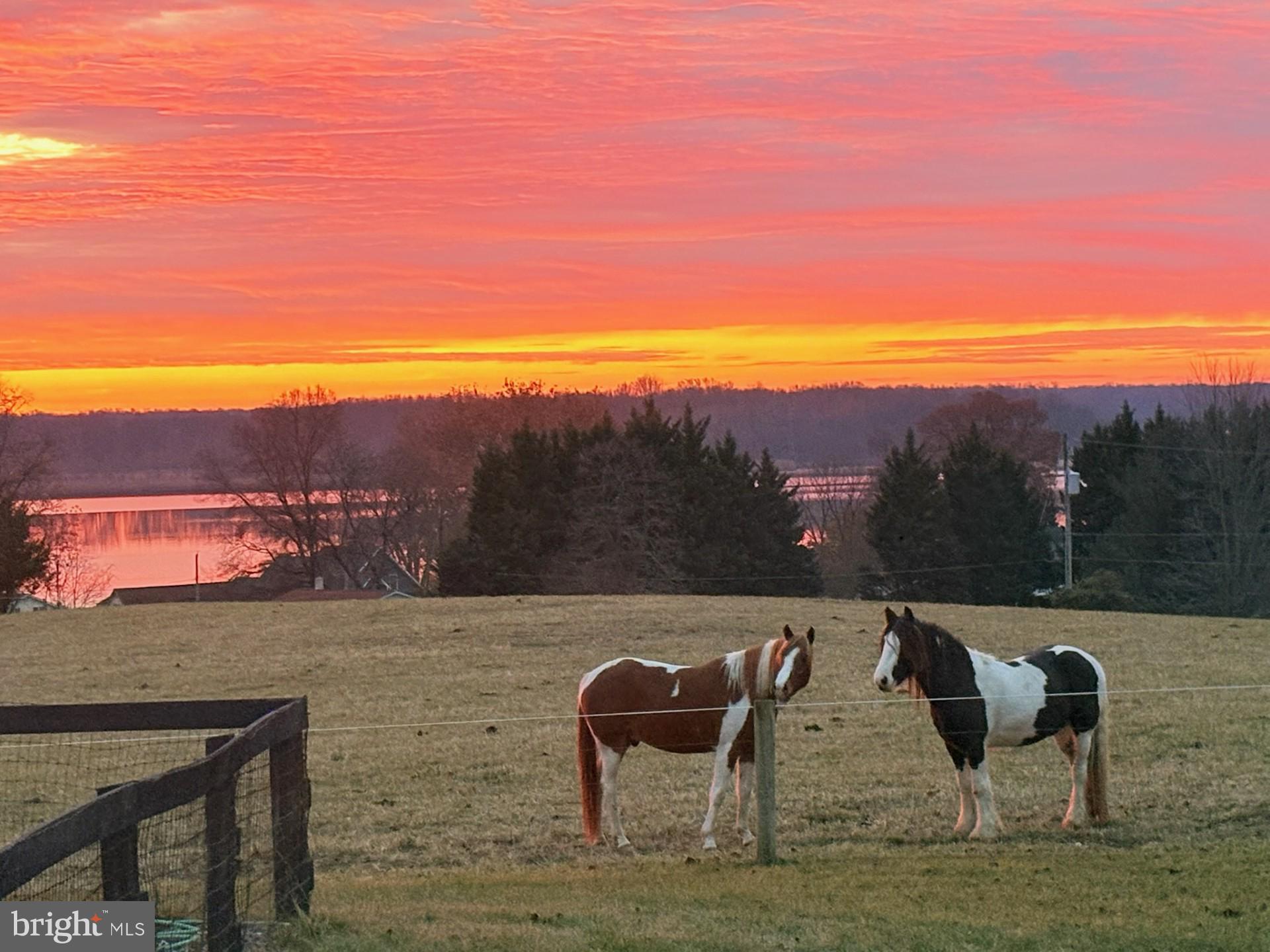 COLERIDGE - Residential