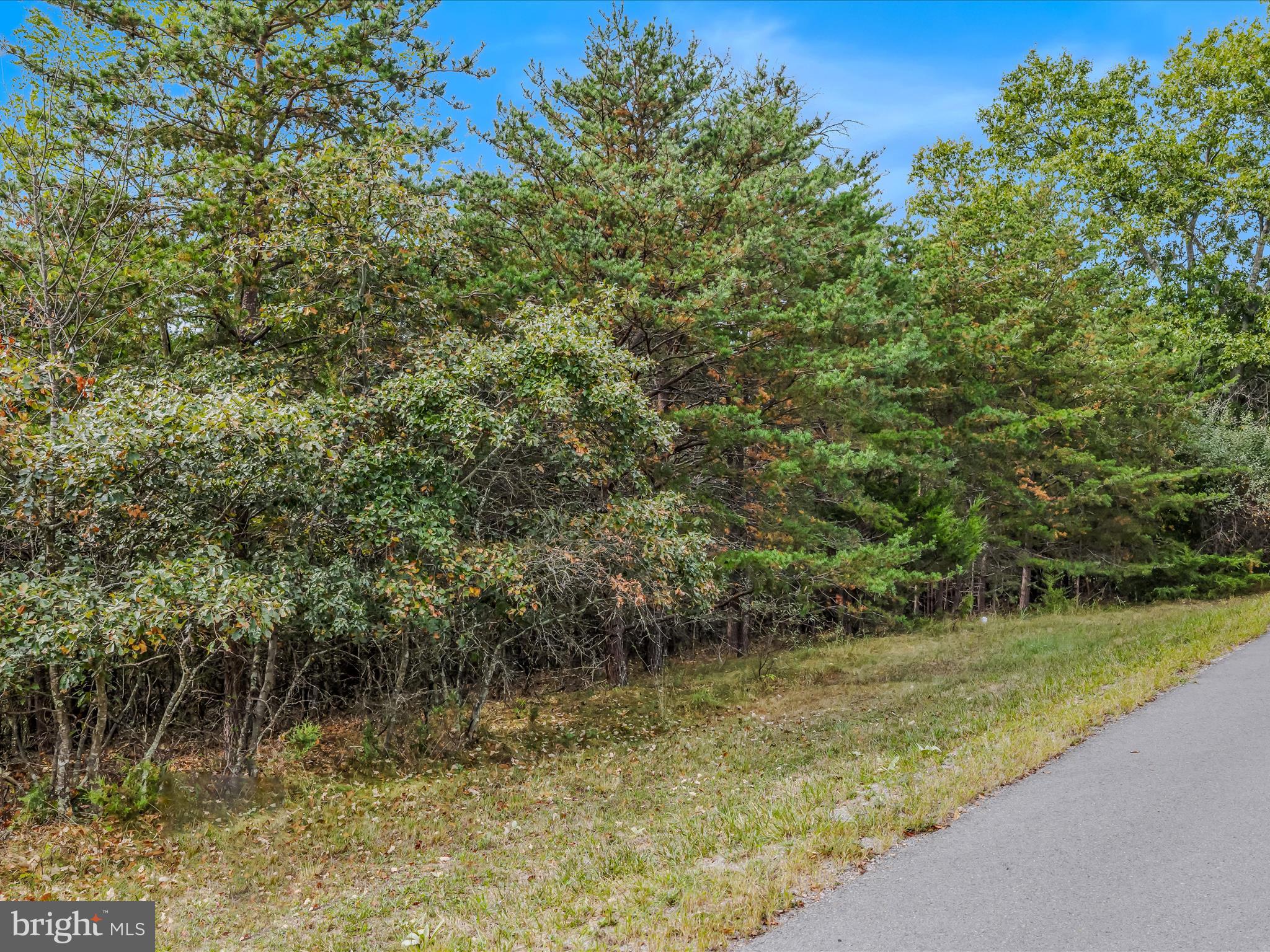 CACAPON SOUTH - Land