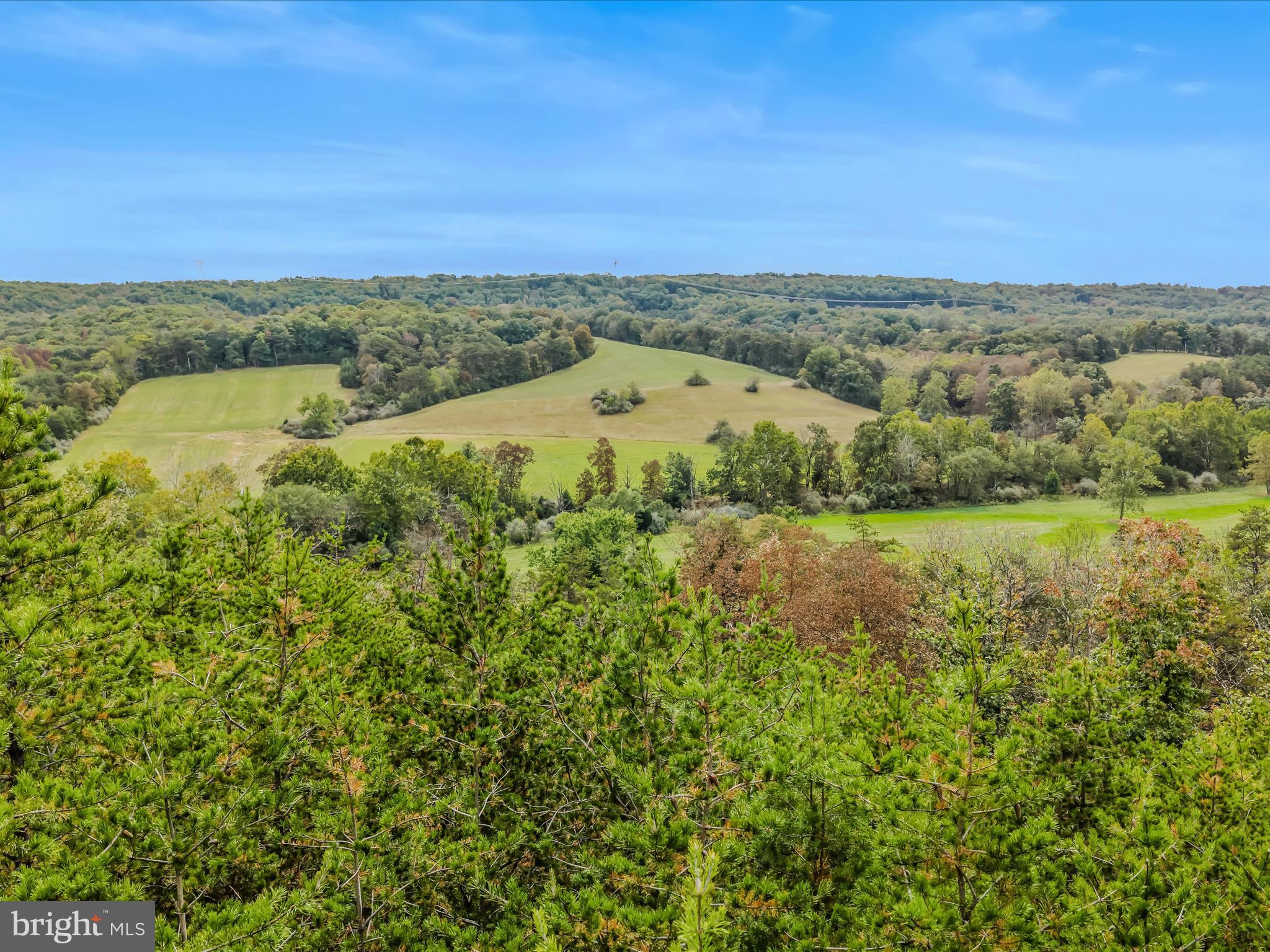 CACAPON SOUTH - Land