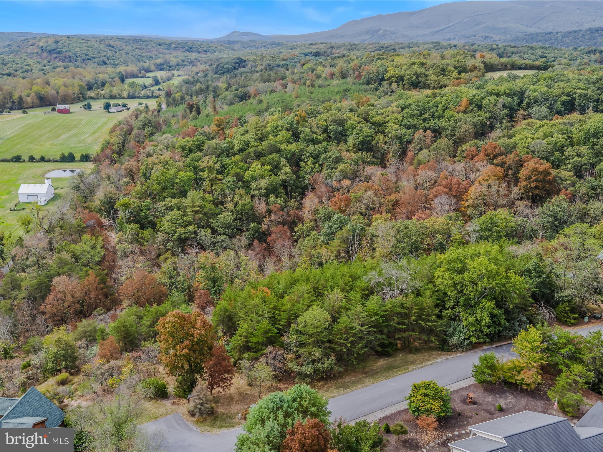 CACAPON SOUTH - Land