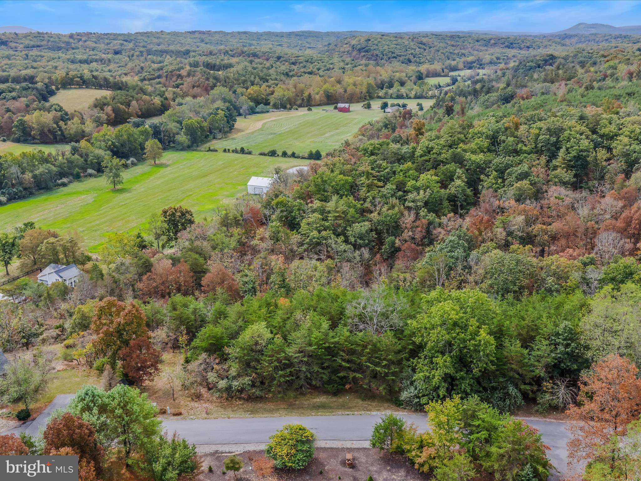 CACAPON SOUTH - Land