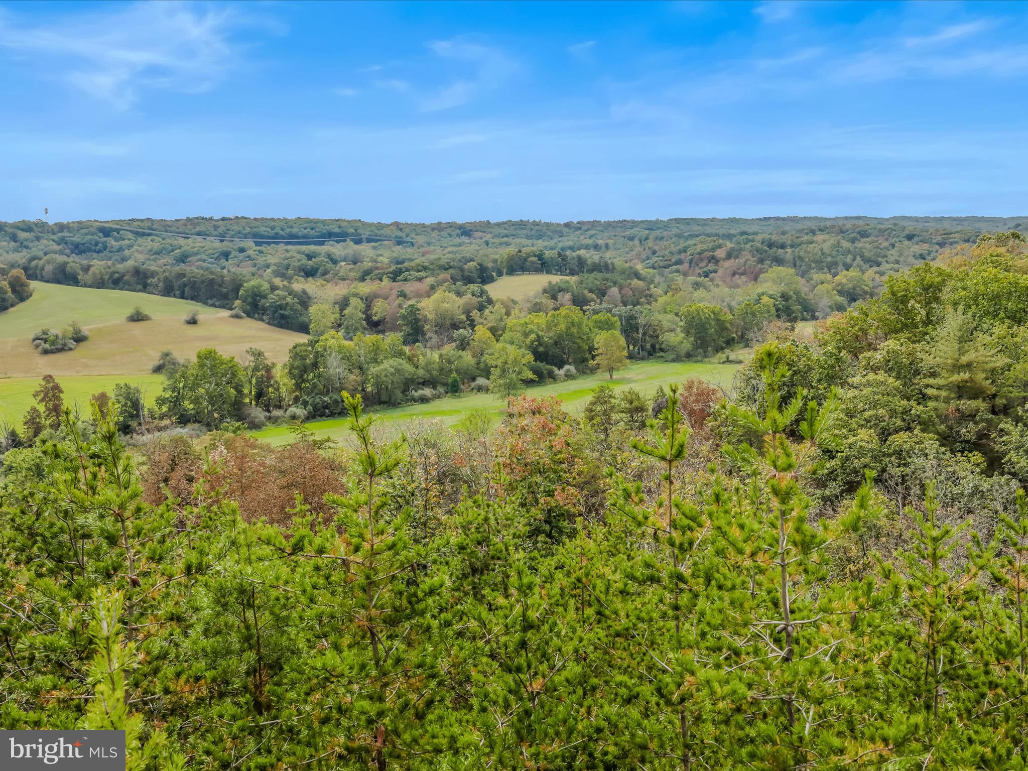 CACAPON SOUTH - Land